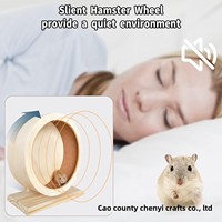 Petite souris silencieuse écologique pour animaux Roue d'exercice pour hamster en bois