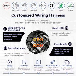 Harness Kabel Konektor OEM ODM XH 2.5mm JST XHP-2 Kustom untuk Kabel Otomotif & Sepeda Motor untuk Produk Elektronik Har - Product Image 6