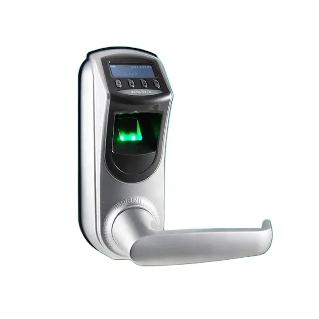 (L7000U) биометрический сканер отпечатков пальцев, дверной замок с OLED-дисплеем/USB-хостом