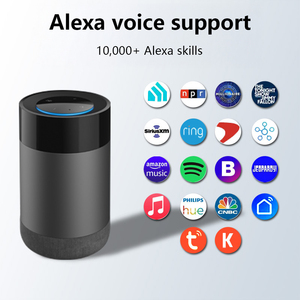 Wifi Không Dây Nhà Thông Minh Điều Khiển Toàn Bộ Nhà Thông Minh Loa Khách Hàng Nền Tảng Hệ Thống Ai Thông Minh Wifi Loa Cho Alexa Đám Mây - Product Image 5
