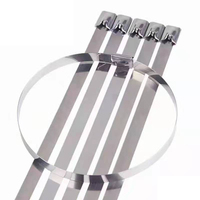 Serre-câbles en acier inoxydable 304 et 316, autobloquants, 100 pièces/sac, serre-câbles en nylon à tête fixe, type boulon autobloquant, 100 mm