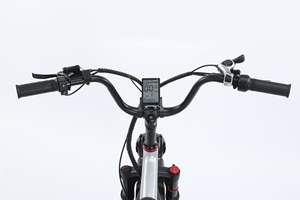 Vélo de montagne électrique tout-terrain 500w Batterie au lithium 48v Dérailleur 7 vitesses Pneus gras de 20 pouces Suspension arrière Moyeu arrière Vélo de ville - Product Image 4