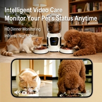 Distributeur automatique d'aliments pour animaux de compagnie de 6,5 L, Alimentador Automático Para Mascotas, Distributeur automatique d'aliments pour chiens, Comedero Para Perros