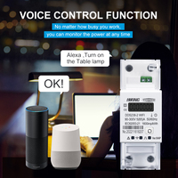 TOMZN-Medidor de energía inteligente bidireccional, 1P + N 65A, WiFi Tuya, temporizador, consumo de energía, monitor, kWh, vatímetro, 1 unidad