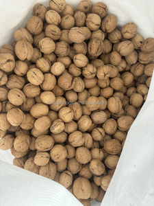 말린 껍질 얇은 피부 종이 쉘 대량 185 도매 호두 가격 중국 호두 껍질 호두 유기농 호두 견과류 - Product Image 6