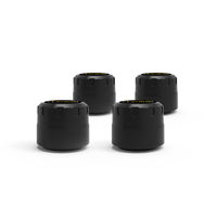 Système de surveillance de la pression des pneus V101B BLE 5.0 externe pour application Android et iOS, capteur TPMS pour toutes les voitures