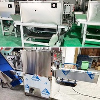 Éplucheur à air automatique Fini Peel Machine, petit modèle, pour éplucher l'ail, couper les extrémités des oignons, avec compresseur d'air, en vente