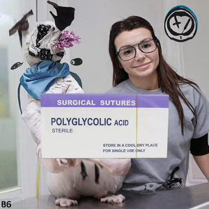 Filo Chirurgico Assorbibile Polyglactin 910 Belisun Personalizzabile PGA910 PDO 75cm 90cm 40mm 3/0 per Trattamento di Sterilizzazione Cani e Gatti - Product Image 3