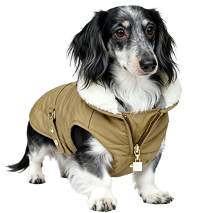 Veste pour chien d'hiver moderne, écologique et luxueuse, imperméable, rembourrée, pour toutes les saisons, taille XL, Bassotto, Wiener, Dachshund, Hamburg, Teckel - Product Image 1