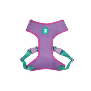 Aura Adjustable <b>Mesh</b> Harness For Dogs Lightweight Breathable Walking Gear - Product Image 1