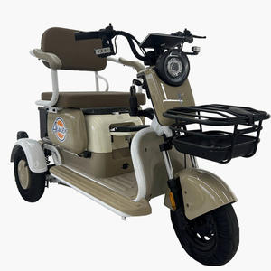 X3 Triciclo eléctrico más barato 500W <span class=keywords><strong>Trimoto</strong></span> Electrica 600W Triciclos eléctricos Tres ruedas Motor para adultos Truco <span class=keywords><strong>Precio</strong></span> de fábrica EV - Product Image 1