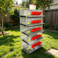 Nouvelle cage à cailles de type H durable pour l'élevage avicole moderne, gestion écologique de la production d'œufs