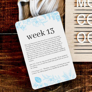 Tarjetas <span class=keywords><strong>de</strong></span> oración para el <span class=keywords><strong>embarazo</strong></span> 20 tarjetas con cubiertas <span class=keywords><strong>de</strong></span> encuadernación en espiral 42 semanas <span class=keywords><strong>de</strong></span> <span class=keywords><strong>embarazo</strong></span> y solicitudes <span class=keywords><strong>de</strong></span> oración correspondientes - Product Image 3