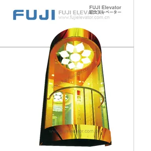 Фудзи экскурсионные Лифты домашний Лифт пассажирский лифт с европейским стандартом