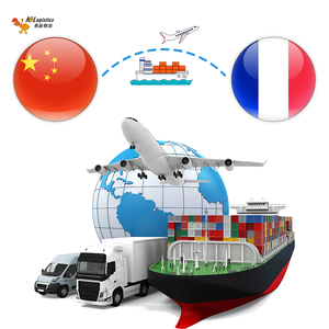 中国到法国的货运代理门到门海运/空运国际物流运输代理 - Product Image 1