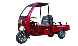 Triciclo Elettrico da Carico ad Alta Potenza, Veicolo Elettrico <span class=keywords><strong>a</strong></span> <span class=keywords><strong>Tre</strong></span> Ruote per Adulti con Lunga Autonomia - Product Image 2