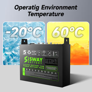 전기 지게차 맞춤형 용량을 위한 고성능 24V LiFePO4 리튬 이온 배터리 - Product Image 4