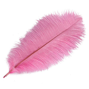 Petit pôle mince en résine d'autruche, 25-30cm, 10-12 pouces, décoration de plumes d'autruche, mur de <span class=keywords><strong>plume</strong></span> rose en vrac - Product Image 2