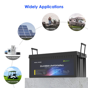 Paquete de Baterías de Iones de Litio Solares de 24 V, 100 Ah, 150 Ah, 200 Ah, 280 Ah, 300 Ah, 400 Ah, 600 Ah, con BMS para Sistema Solar LFP24200 24 V 20, Venta al por Mayor - Product Image 6