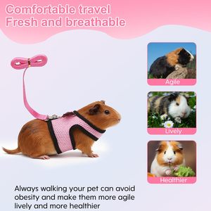 Arnés y Correa para Cobayas al por Mayor de Fábrica, Arnés para Conejos, Arnés Ajustable de Malla Suave Personalizado para Mascotas Pequeñas - Product Image 3