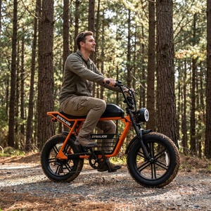 Vélo électrique à gros pneus orange vif avec phare vintage, vélo silencieux pour la randonnée en plein air et l'observation des oiseaux - Product Image 1
