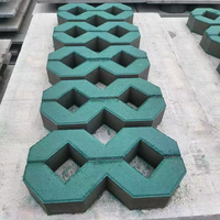 Blocs de pavage poreux en béton emboîtables de qualité supérieure pour plantation d'herbe, technique de cuisson à la vapeur, design traditionnel, garantie 1 an