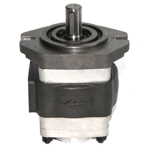 Bomba de Engranajes Internos de Acero Inoxidable bibo NBL2A1-251L-H01, Bomba Hidráulica de Alta Visibilidad, 25Mpa, 95% de Eficiencia - Product Image 2