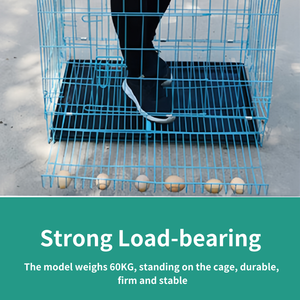 <span class=keywords><strong>Jaula</strong></span> Plegable Portátil y Mini para Pollos con Bandeja <span class=keywords><strong>de</strong></span> Excrementos - Solución Prémium para Cría - Product Image 6