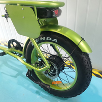 Bicicleta eléctrica de 20 pulgadas con neumático ancho, 500 vatios, a la venta, precio barato, vintage, con batería, dos asientos
