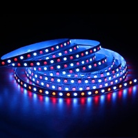 Tira de LED RGB SMD5050 Direccionable WS2812B 5V 60Leds/m, PCB de Cobre Blanco/Negro, IP20, Control Remoto/Wi-Fi para Hotel