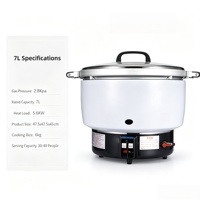 Autocuiseur à riz professionnel à gaz grande capacité avec contrôle automatique de la température, compatible GPL et gaz naturel, pour la restauration