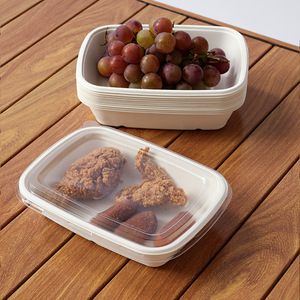 Boîte bento rectangulaire jetable en pulpe de canne à sucre, compatible micro-ondes, biodégradable, pour pique-niques et repas du midi - Product Image 2