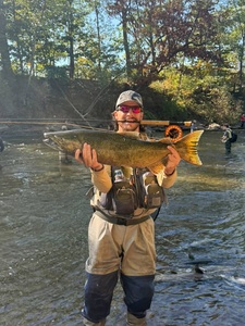 <span class=keywords><strong>Canne</strong></span> à pêche à la <span class=keywords><strong>mouche</strong></span> OEM haute performance 9'6'' LW6/7 6 brins en carbone Toray, action rapide, compacte, avec pointe supplémentaire (B02) - Product Image 5