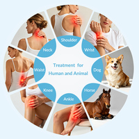 Appareil de thérapie laser froid multifonctionnel 15W haute puissance pour chiens et chats, pour la gestion de la douleur post-opératoire et la récupération des blessures articulaires