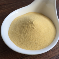 Aliments pour volailles CSL Poudre de liqueur de maïs avec test NPK