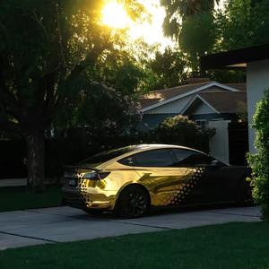 Adesivi <span class=keywords><strong>auto</strong></span> personalizzati 1,52x18m Super tiranno in oro pellicola per <span class=keywords><strong>auto</strong></span> avvolti in vinile autoadesivo per animali domestici per il corpo in TPU - Product Image 4