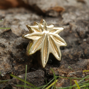 Superventas 14K oro sólido <span class=keywords><strong>Piercing</strong></span> pendiente hoja grande superior sin rosca Daith <span class=keywords><strong>Helix</strong></span> Labret nariz cuerpo joyería al por mayor - Product Image 3