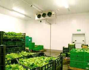 Fruit Vegetable Walk in Cooler with Cold Room Panel Price