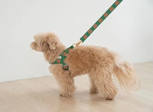 Conjunto de Arnés para Perro y Gato, Collar y Correa Ajustables, Arnés para Mascotas para Paseos al Aire Libre - Product Image 2