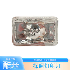 ไฟฉายโครเมียมแบบพกพา หลอดไฟ E27 ติดตั้งได้สำหรับไฟสปอตไลท์ทางทะเล Jabsco - Product Image 2