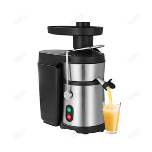 Easy To Operation Commercial Ginger Juicer Extractor Fruit Juice Extracting Juicing Machine Continuous work Industrial Juicer
