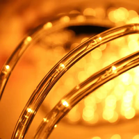 Guirlande lumineuse LED étanche IP65 pour décoration de sapin de Noël en extérieur, fil de cuivre, blanc chaud 2700K
