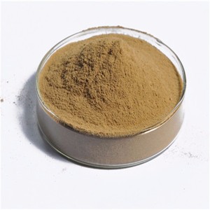 Brewer men bột/bia yest dư lượng bột cho thức ăn chăn nuôi - Product Image 4