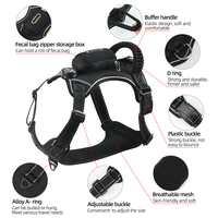 Harnais de luxe pour chien certifié BSCI, personnalisé, lumineux dans le noir, grand, réglable, rechargeable, réfléchissant, LED RGB, gilet pour animaux de compagnie