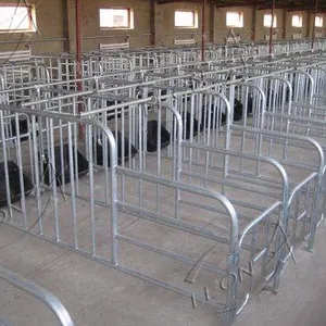 Steel animal cages positioning bar farm pig equipment sow gestation bed pen solutions wholesale pig stall