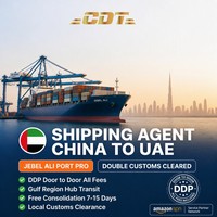 Spedizioniere DDP FBA dalla Cina alla Spagna per merci commerciali, trasporto marittimo, sdoganamento e spedizione porta a porta