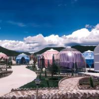 Domo Glamping de Varios Tamaños - Pequeño/Mediano/Grande - Capacidad para 2-8 Personas