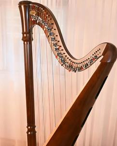 Arpa Irlandesa de 40 Cuerdas al por Mayor - Arpa Profesional de Nogal, Resonancia Rica, Artesanía Premium, Uso en Escenario y Enseñanza - Product Image 1