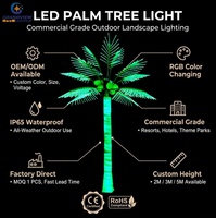 Palmier lumineux LED artificiel d'extérieur IP65 sur mesure (3M, 4M, 5M) pour la décoration paysagère des hôtels, complexes hôteliers et commerces – OEM disponible