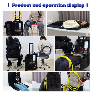 Dispositivo portátil de terapia de dolor PEMF de doble control, tapete PEMF, dispositivo de terapia magnética PEMF para atletas y caballos - Product Image 5